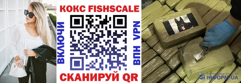 COCAIN Эквадор  закладки  Ершов 