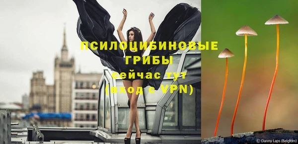 СК Медногорск