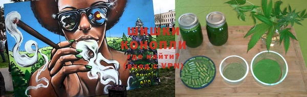 молекула духа Ельня