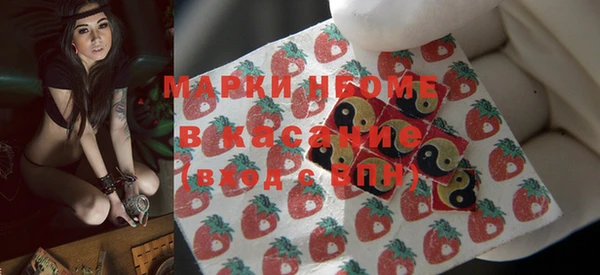 молекула духа Ельня