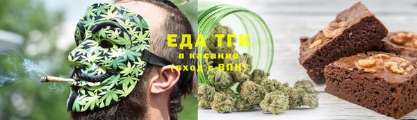 прущие грибы Заволжье